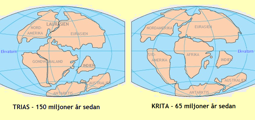 Wegener's Continental Drift Insight (image credits: wikimedia)