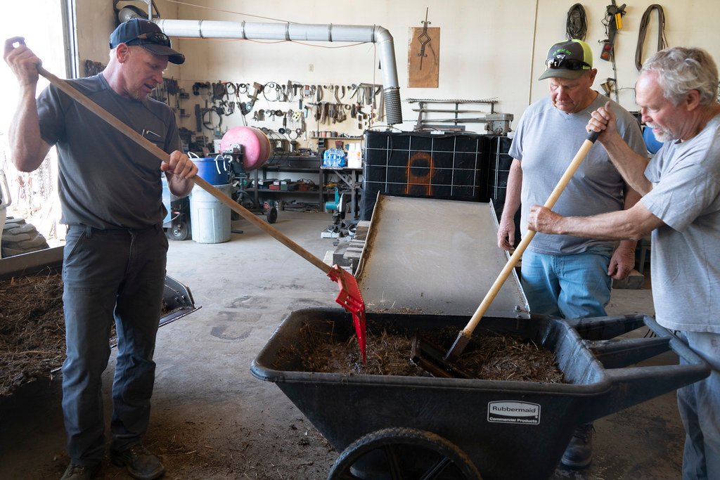 The Antibiotic Resistance Battleground (image credits: flickr)