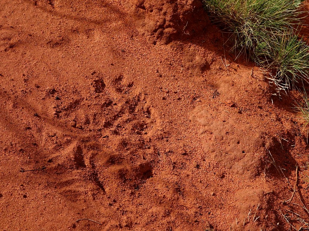 The Soil Memory Bank (image credits: flickr)
