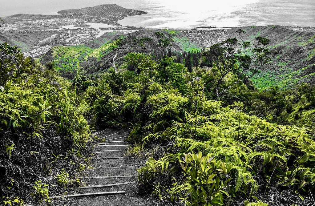 The Green Goodbye (image credits: flickr)
