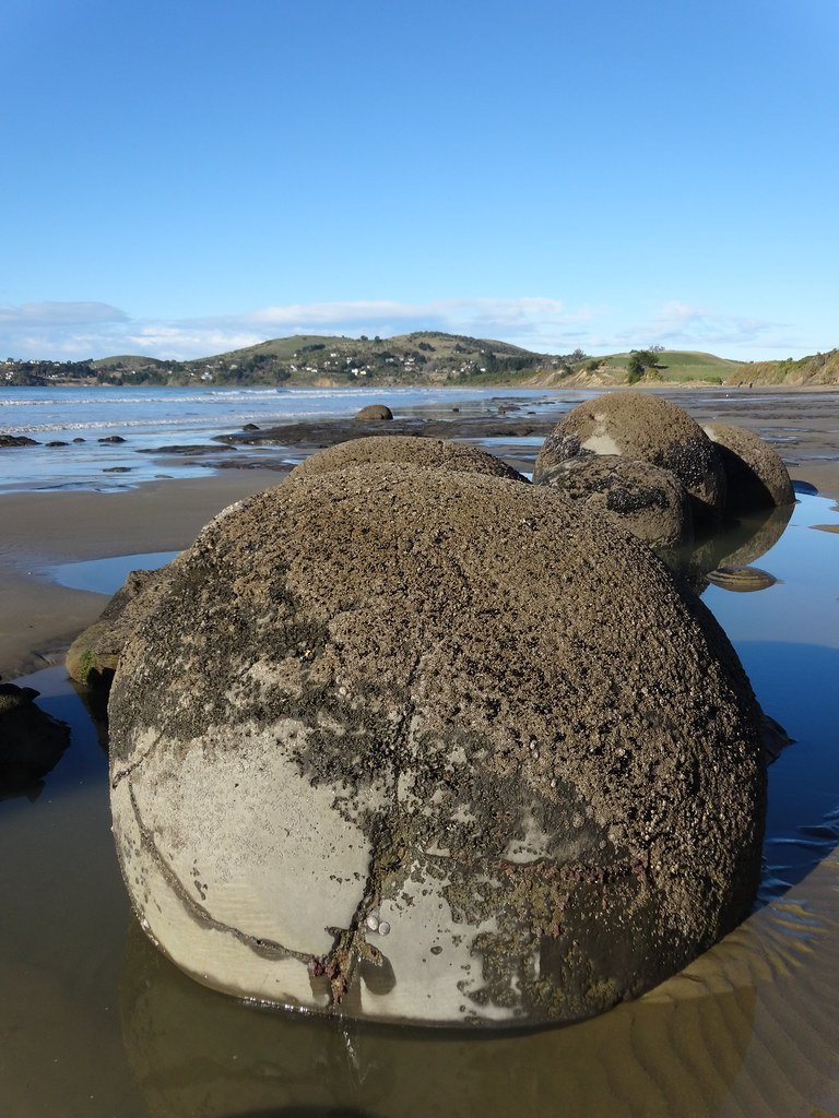 The Beach Environment and Tidal Influences (image credits: flickr)