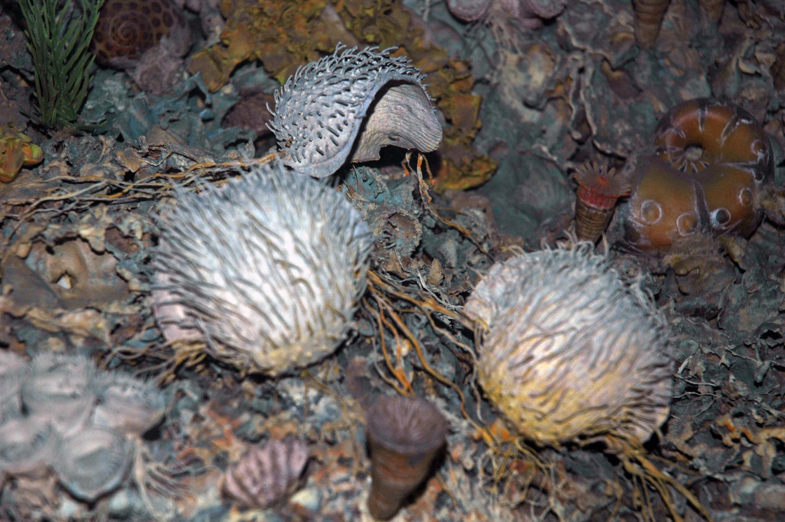 The Brachiopod Massacre (image credits: wikimedia)