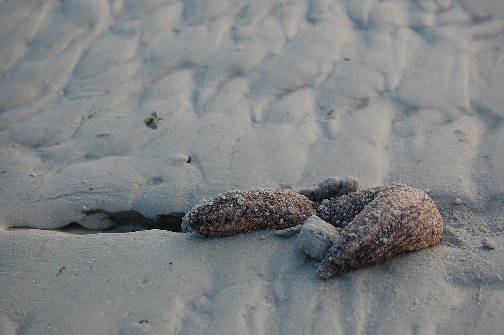 Environmental Factors (image credits: flickr)