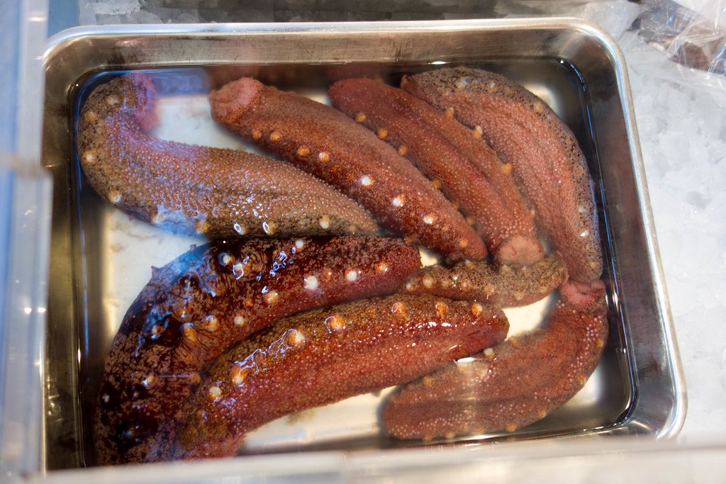 Cultural and Economic Significance (image credits: flickr)