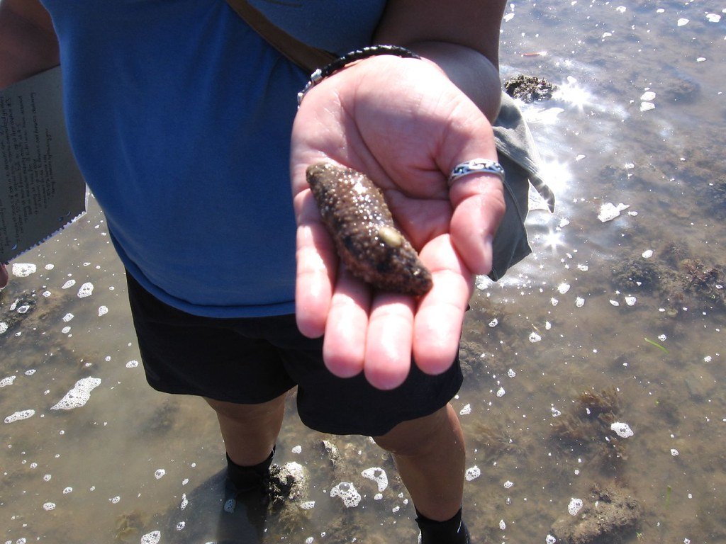 Future Research Directions (image credits: flickr)