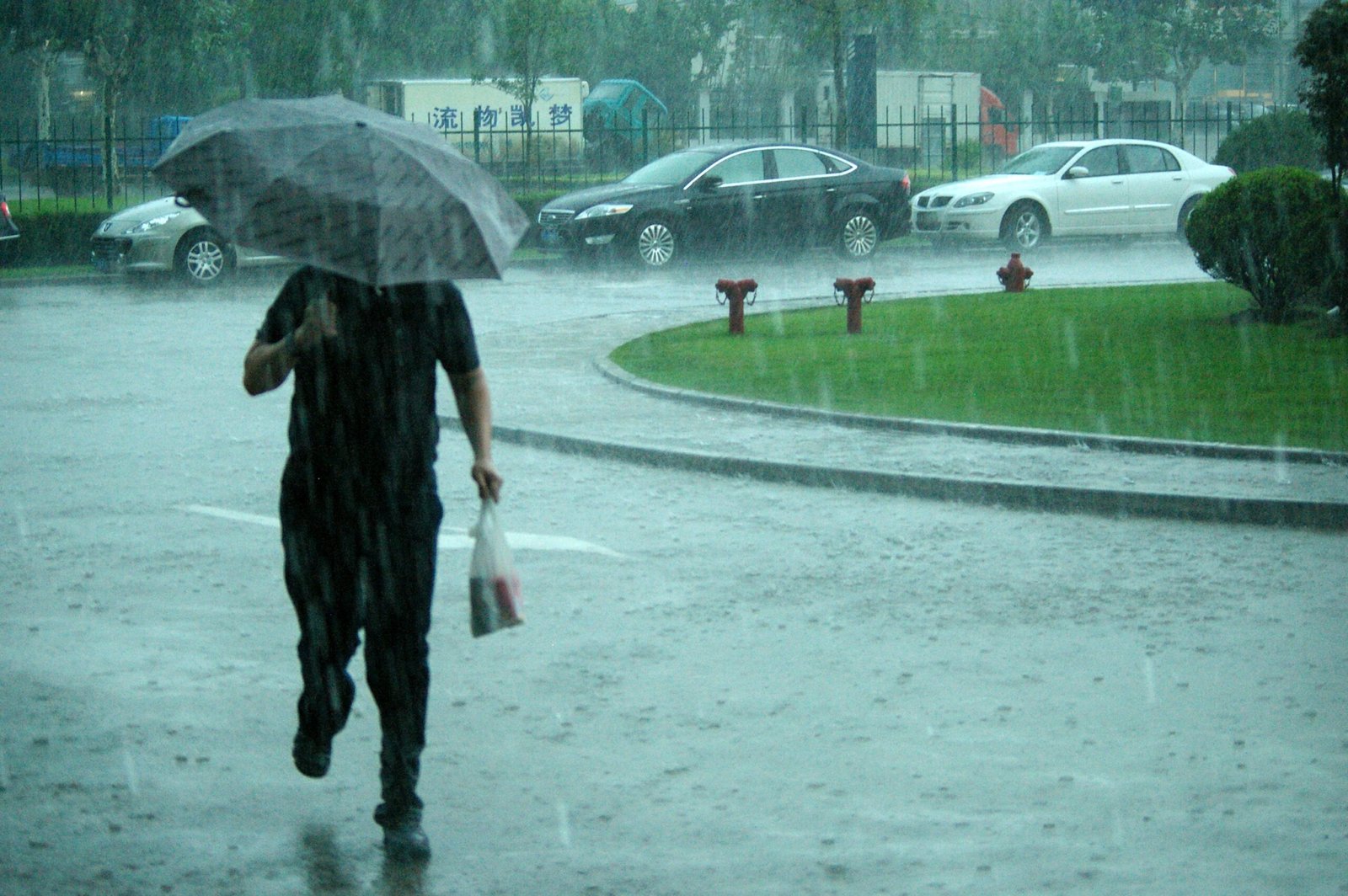 The Monsoon Systems: Life-Giving Rains Under Threat (image credits: wikimedia)