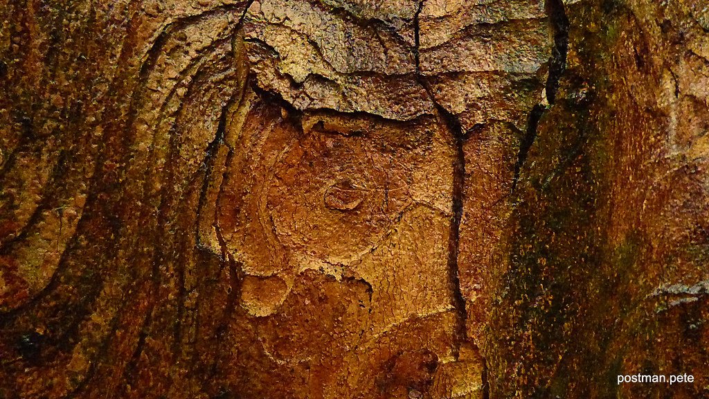 Modern Willow Research (image credits: flickr)