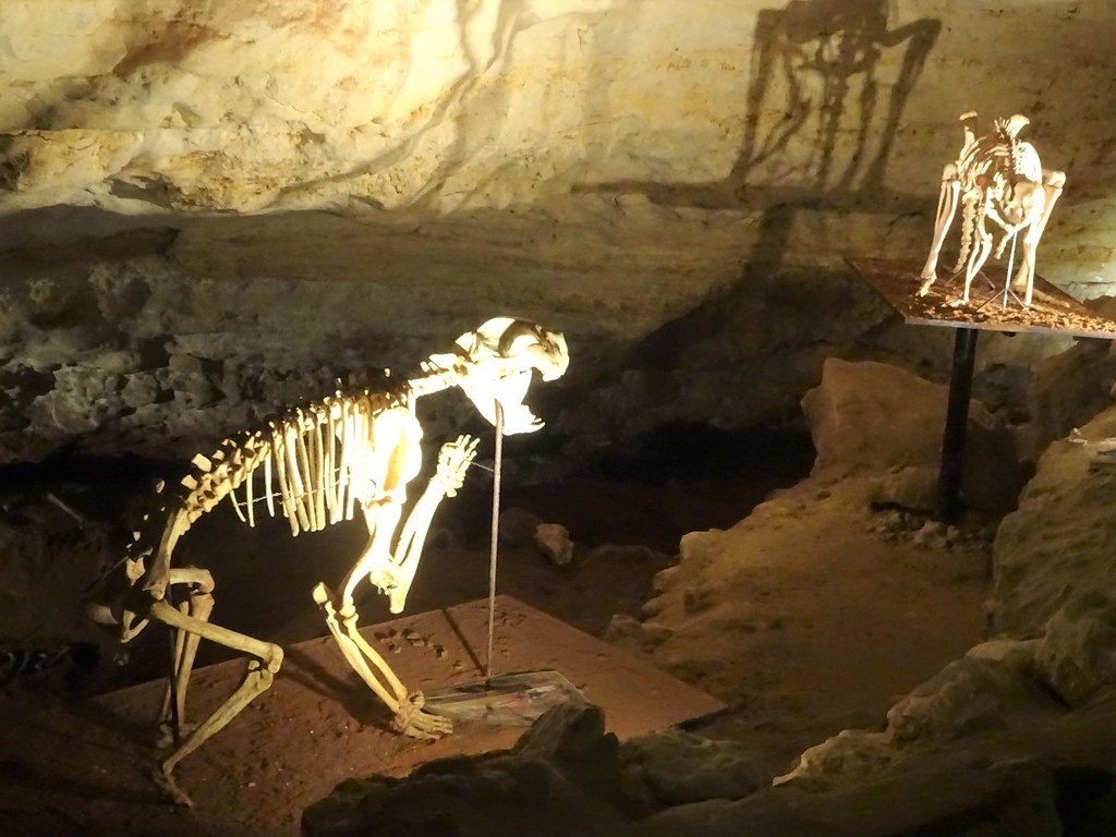 Climate Change: The Ice Age's Deadly Legacy (image credits: flickr)