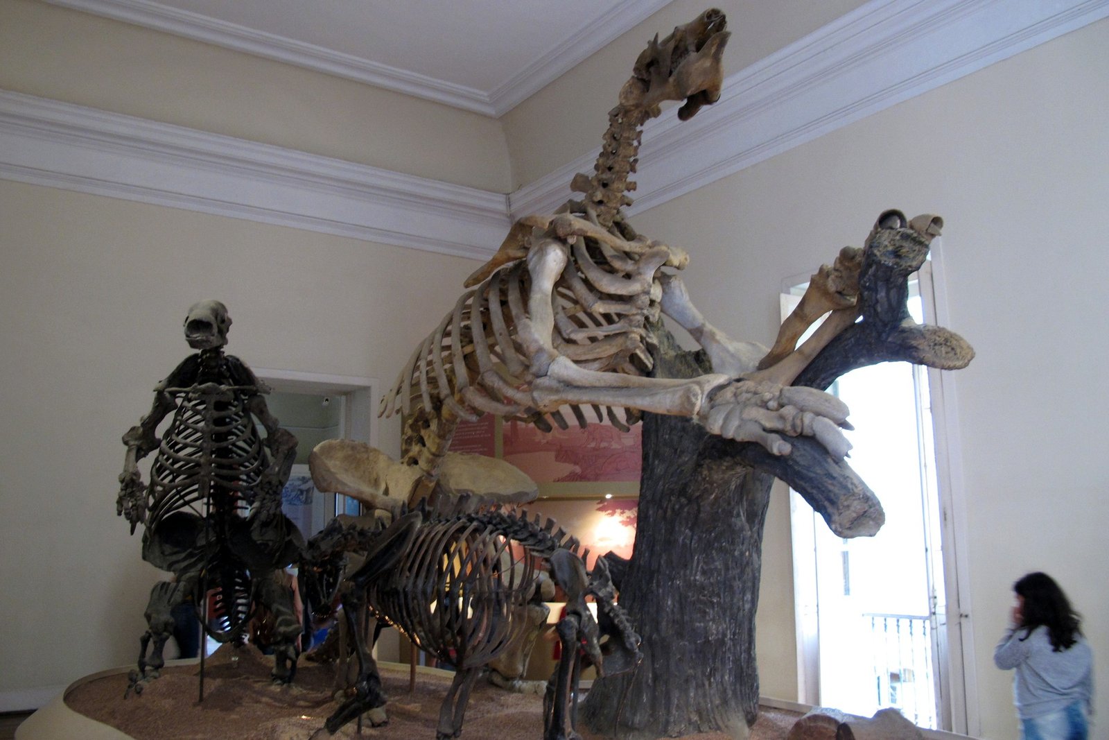 The Hyperdisease Hypothesis: A Perfect Storm (image credits: wikimedia)