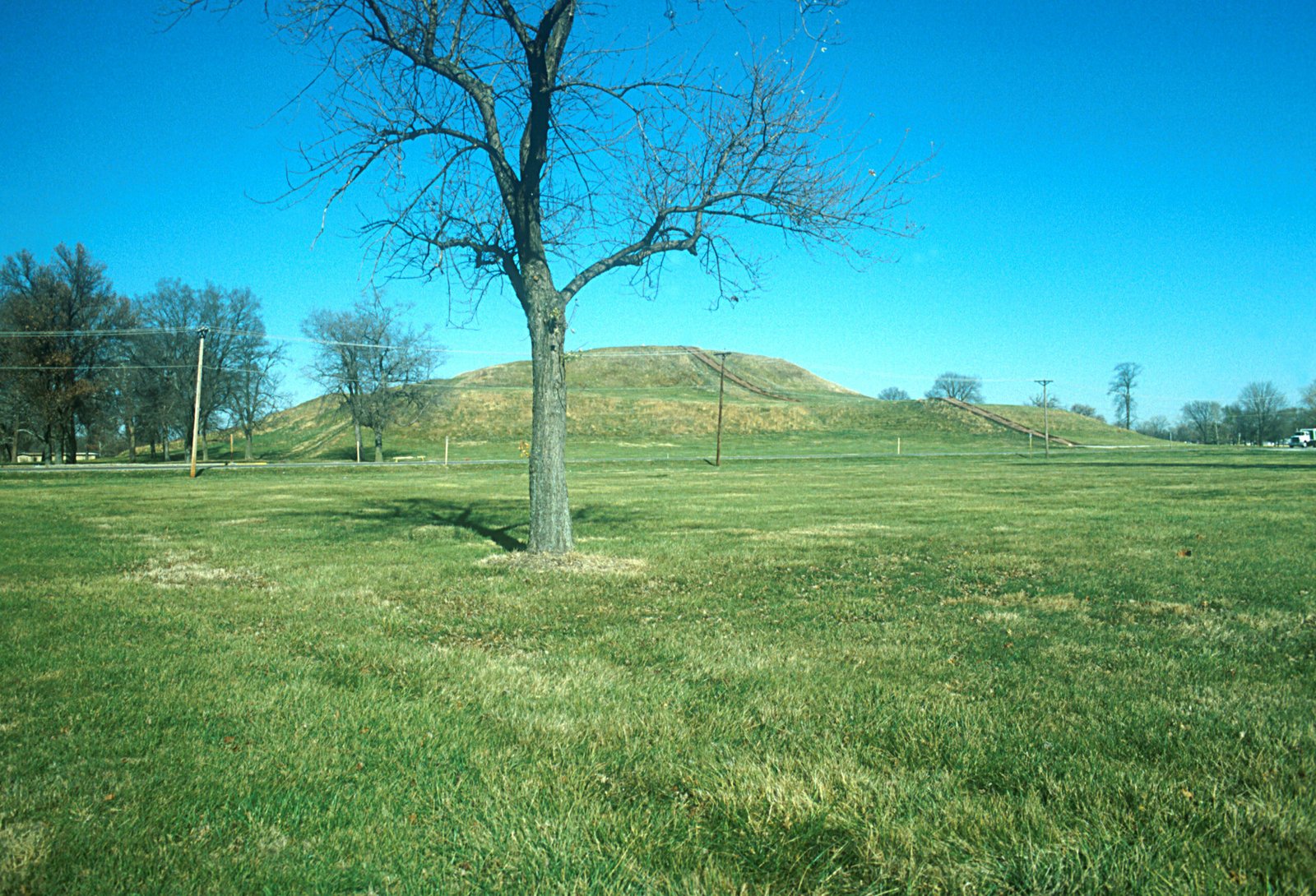 Environmental Challenges and Adaptation (image credits: wikimedia)