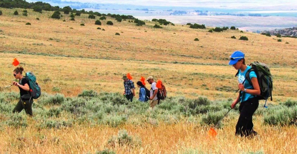 Archaeological Methods and Modern Discoveries (image credits: flickr)