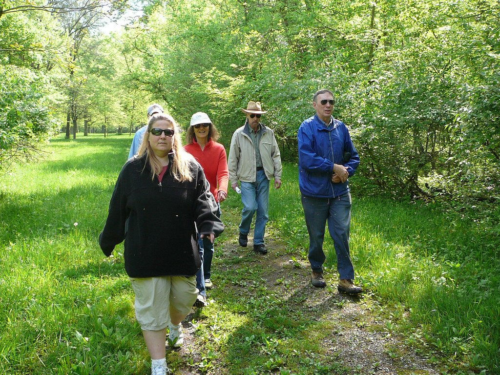 Preservation Efforts and Ongoing Challenges (image credits: flickr)