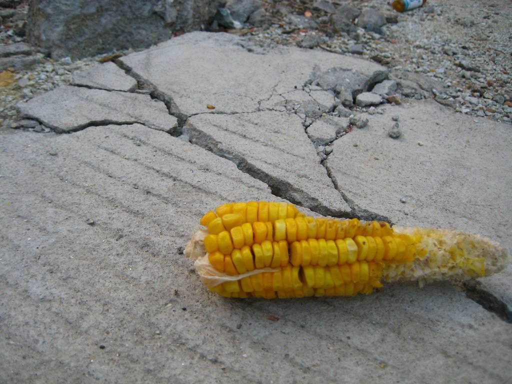 The Timing Revolution (image credits: flickr)