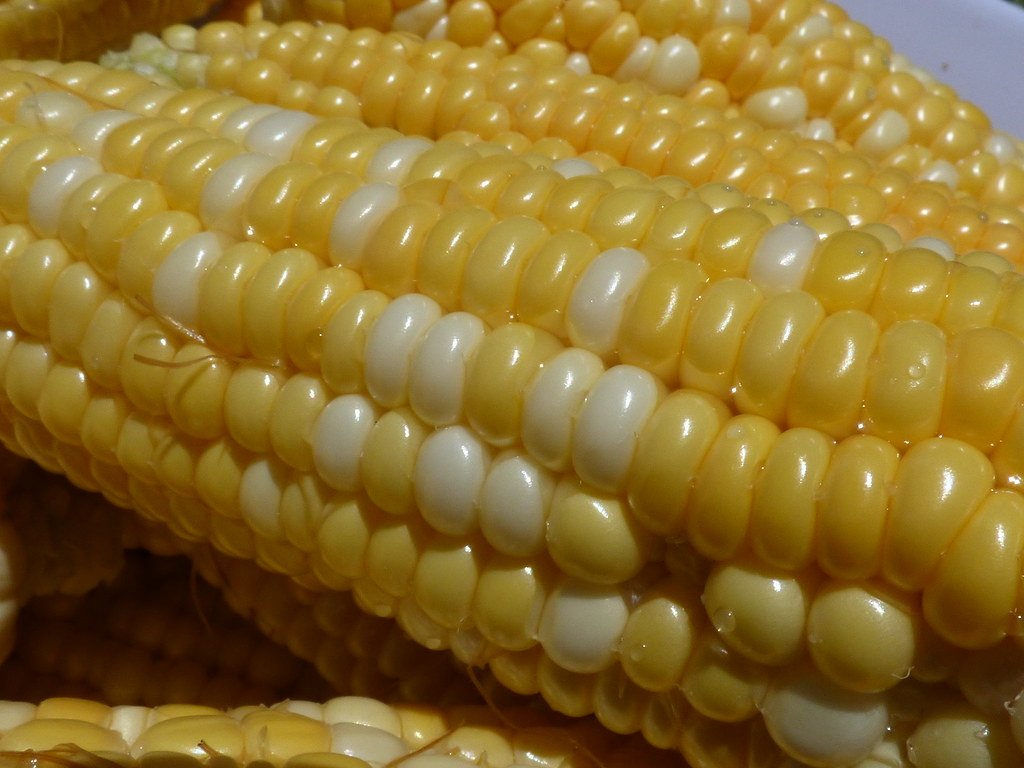 Modern Hybridization Accelerating Ancient Processes (image credits: flickr)