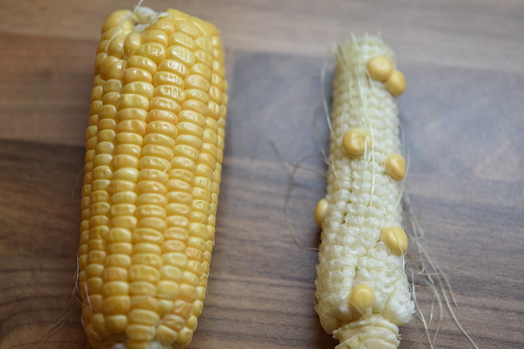 The Pollinator Relationship Transformation (image credits: flickr)