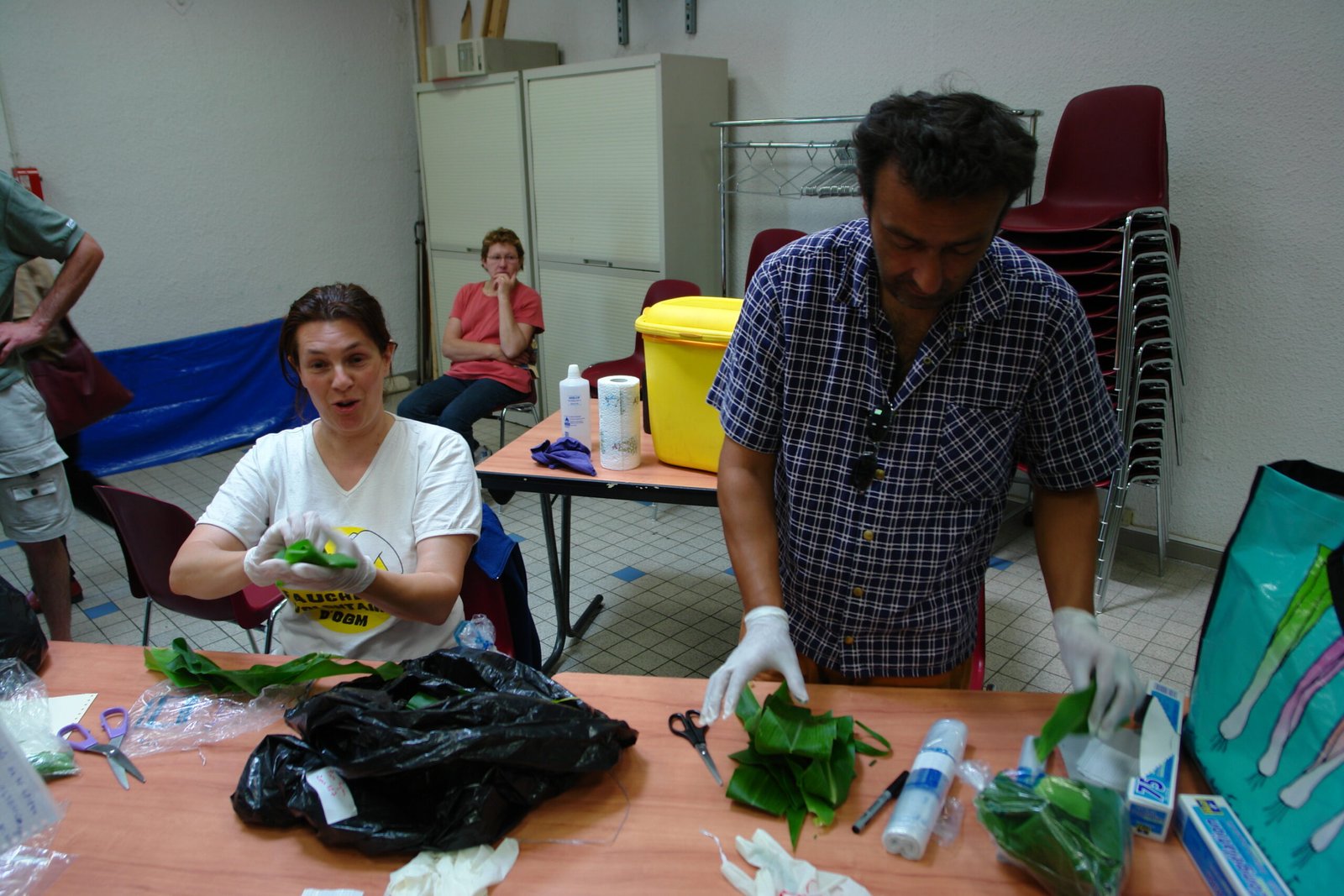 The Unexpected Consequences (image credits: wikimedia)