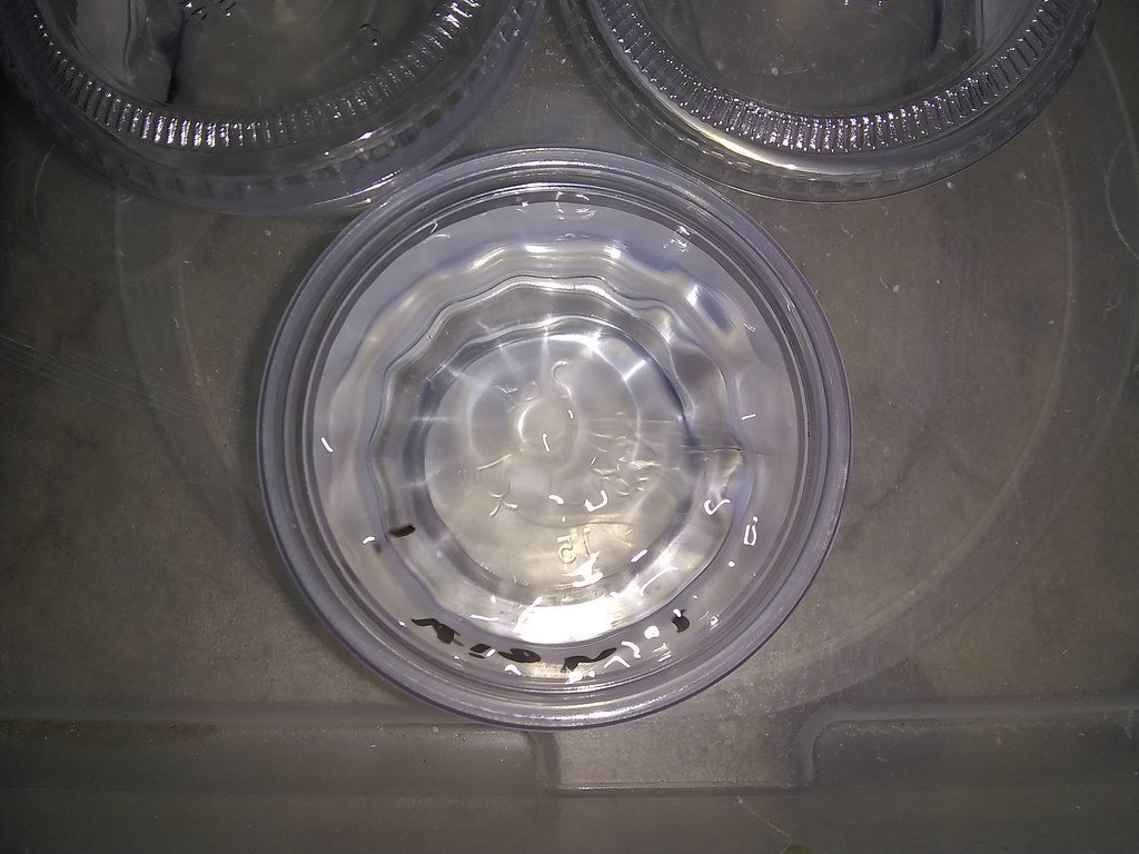 The Master of Regeneration (image credits: flickr)