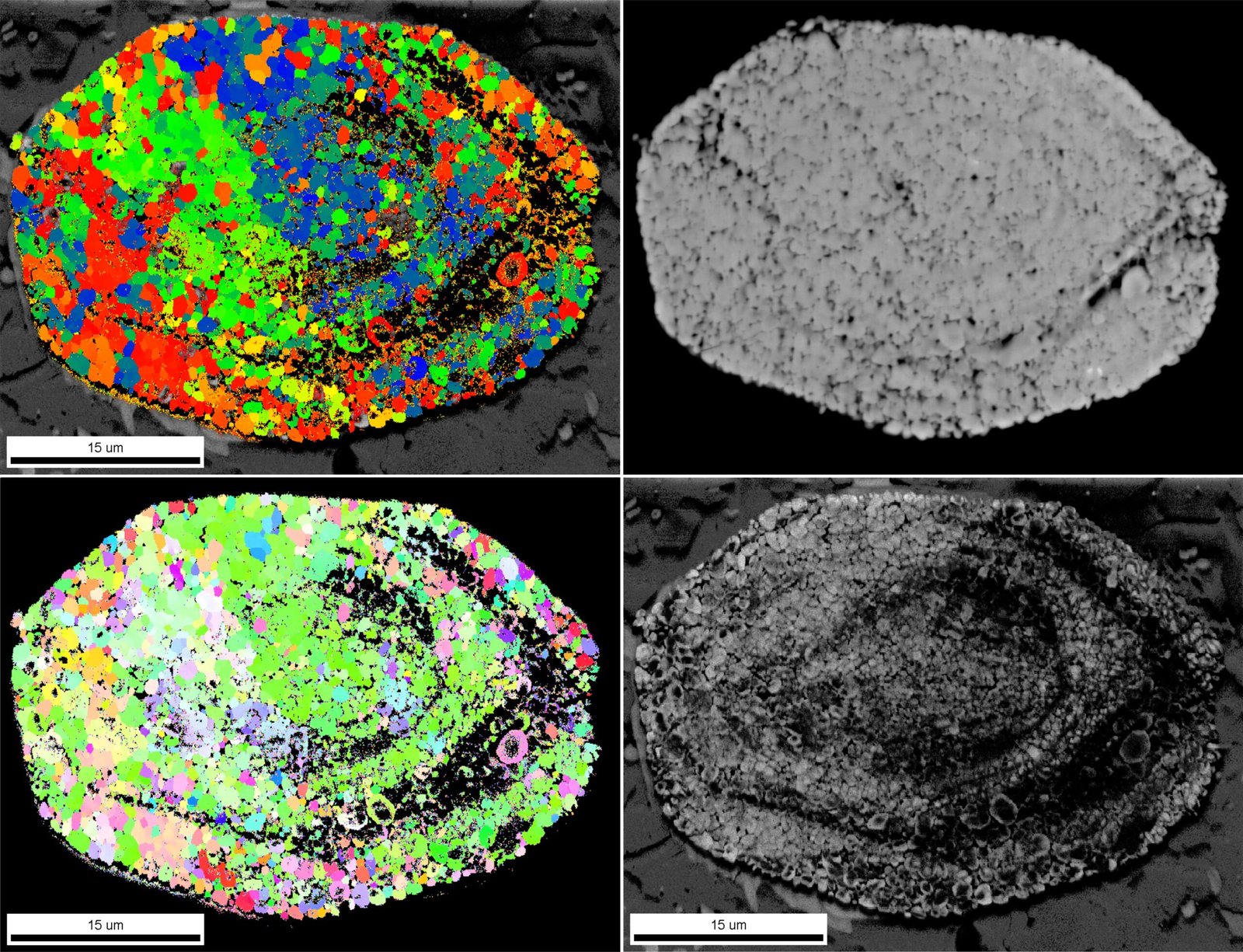Memory Transfer: The Ultimate Plot Twist (image credits: wikimedia)