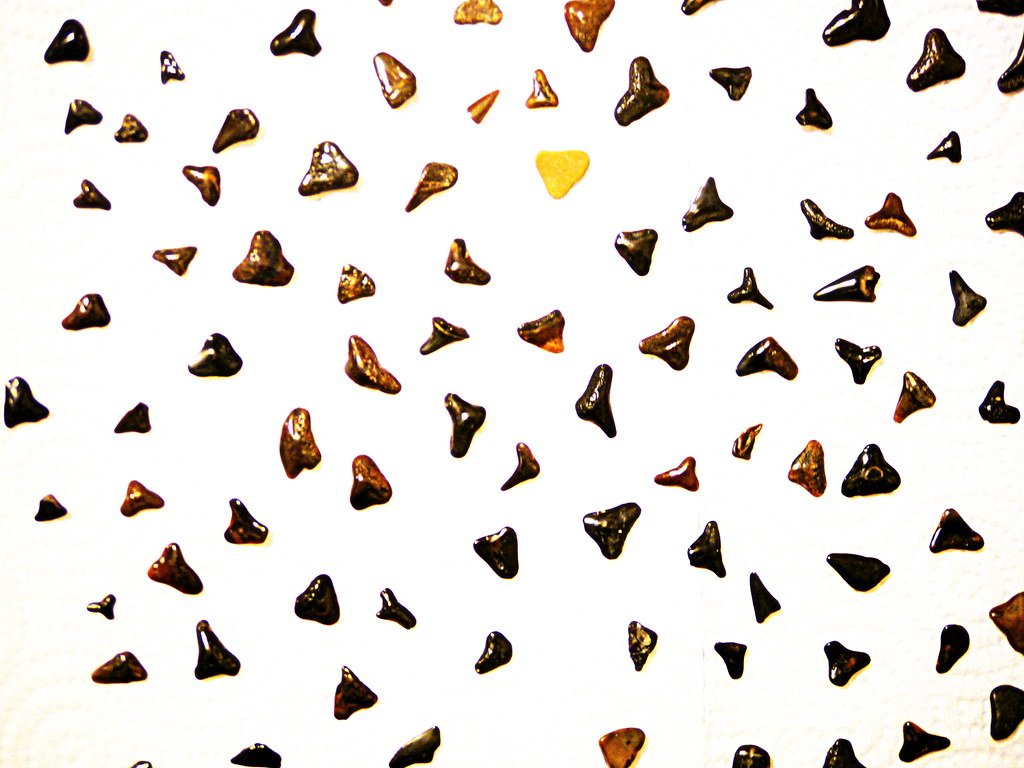 Ancient Beliefs and Supernatural Powers (image credits: flickr)