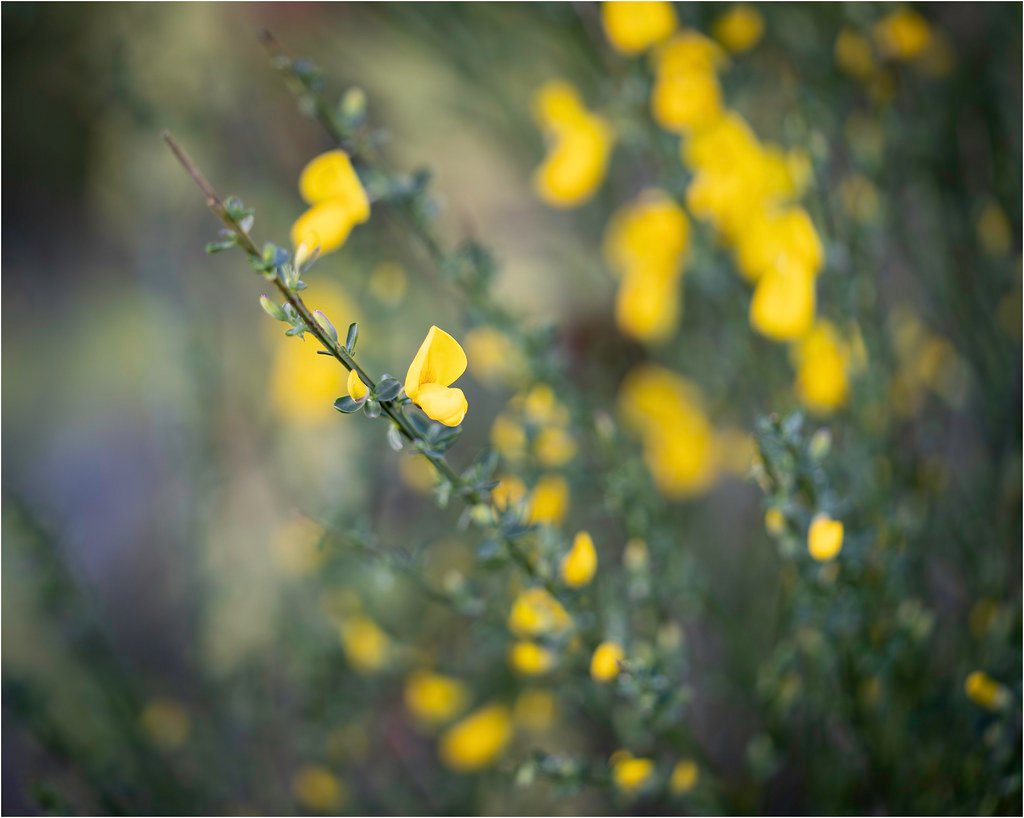 Conclusion: Living with the Consequences of a Connected World (image credits: flickr)