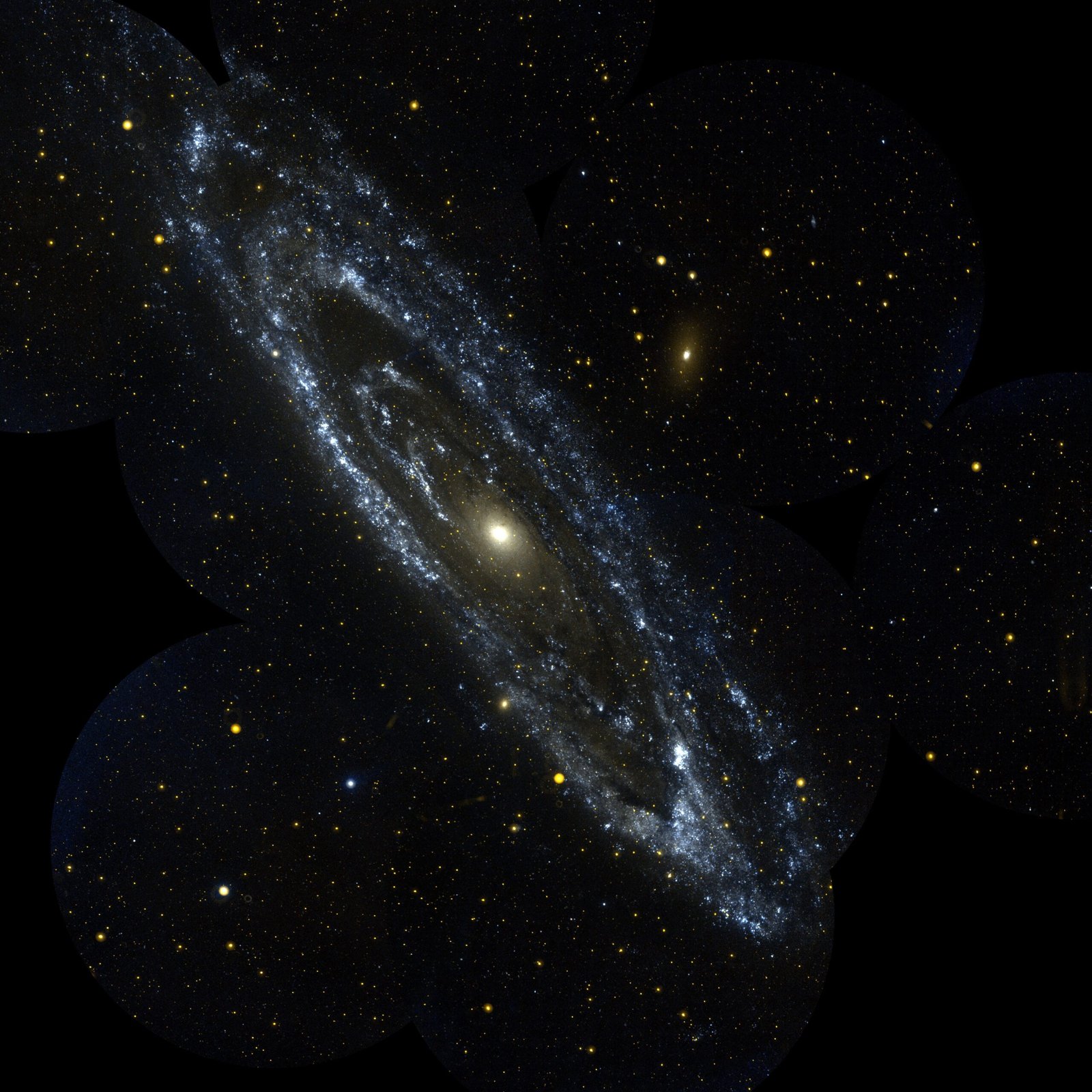 Galaxy Evolution Through Cosmic Time (image credits: wikimedia)