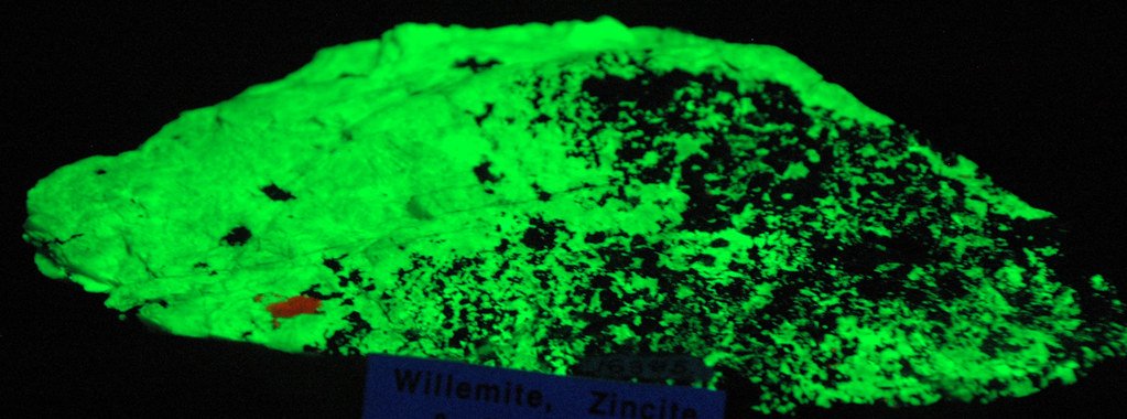 Environmental Science Gets a Glowing Makeover (image credits: flickr)