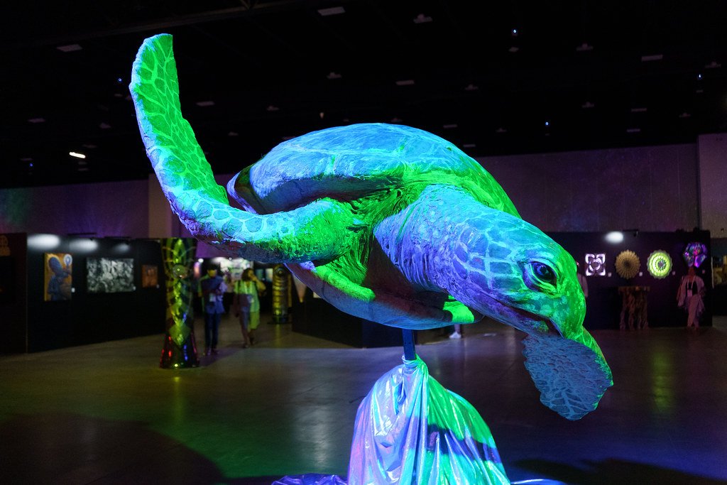 Beyond the Laboratory: Artistic and Educational Applications (image credits: flickr)