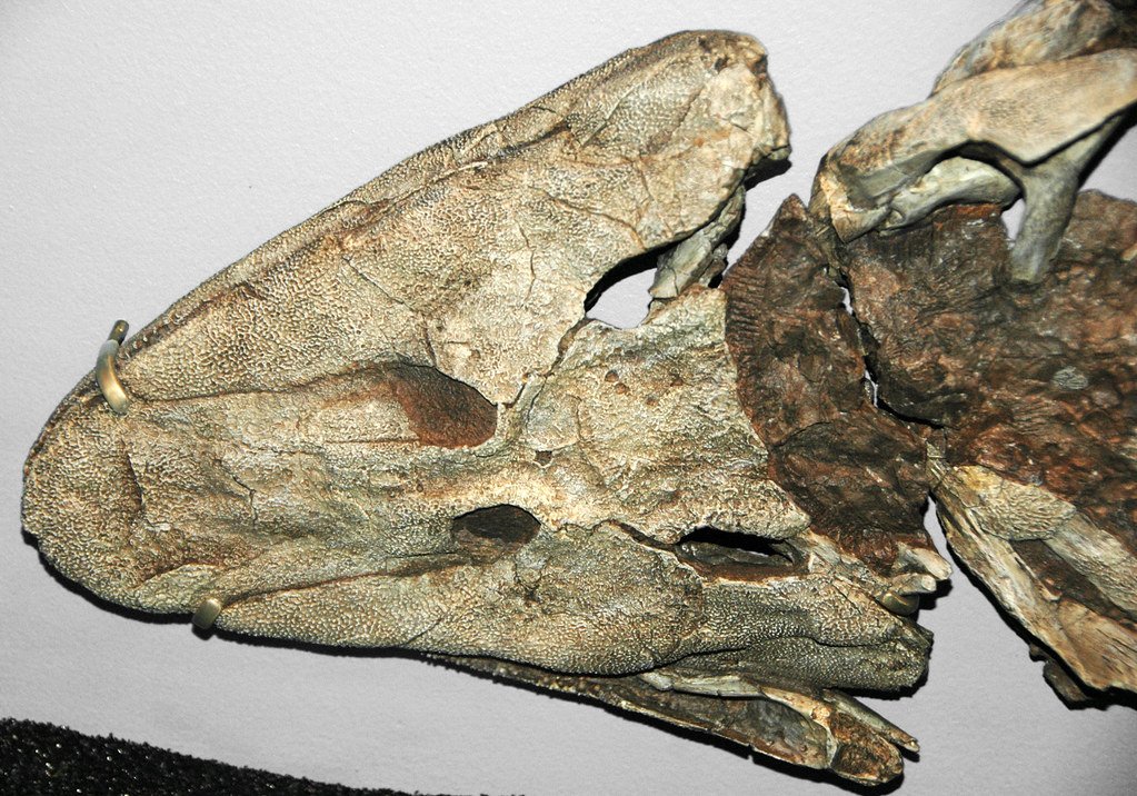 The Moment That Changed Everything (image credits: flickr)