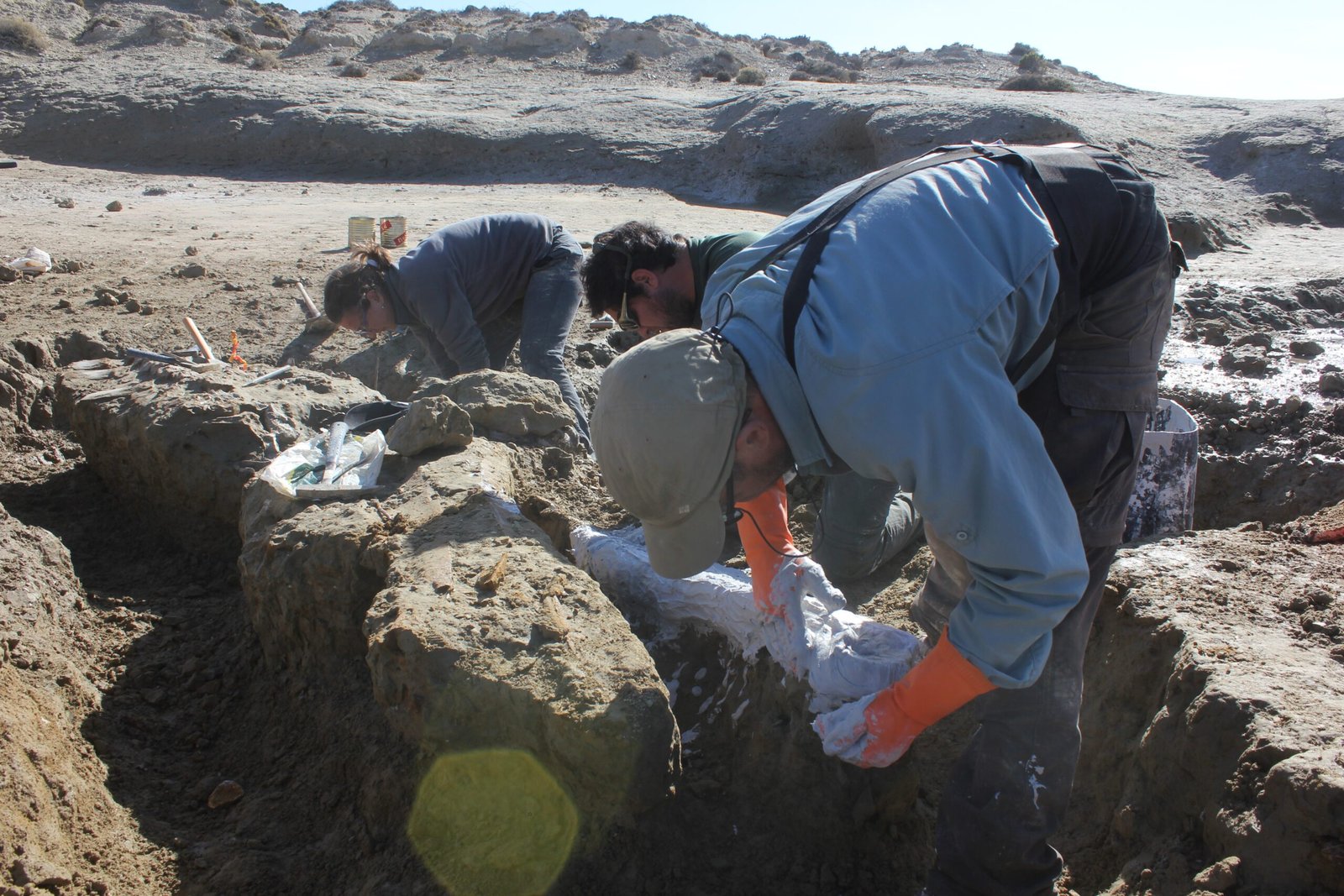 The Team Behind the Discovery (image credits: wikimedia)
