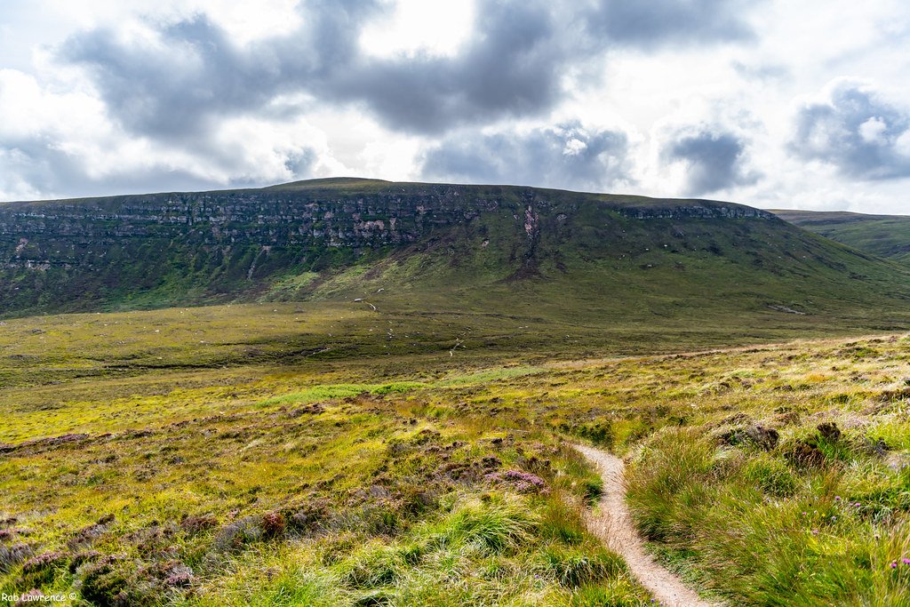 The Environmental Context of Evolution (image credits: flickr)