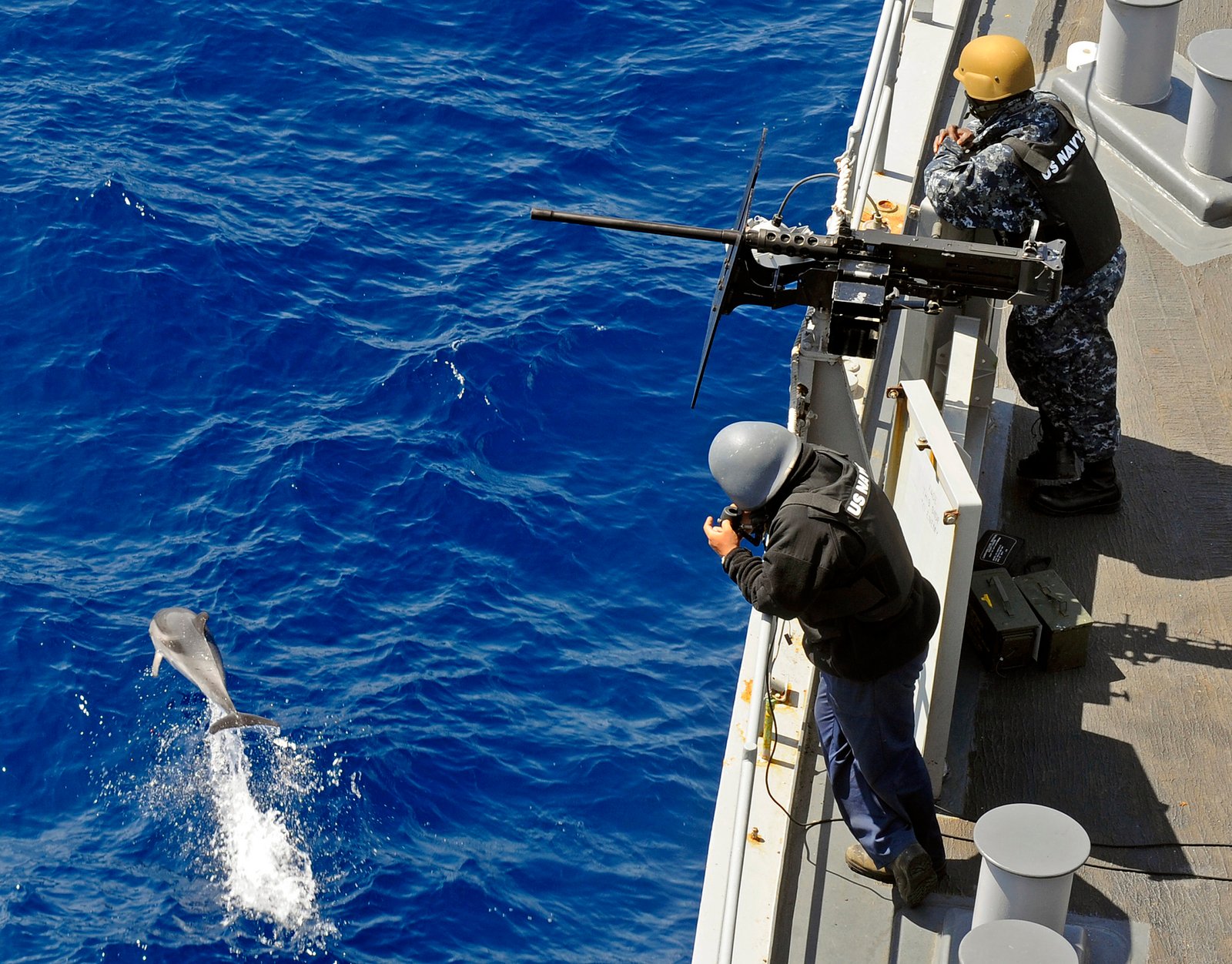 Future Research Directions (image credits: wikimedia)