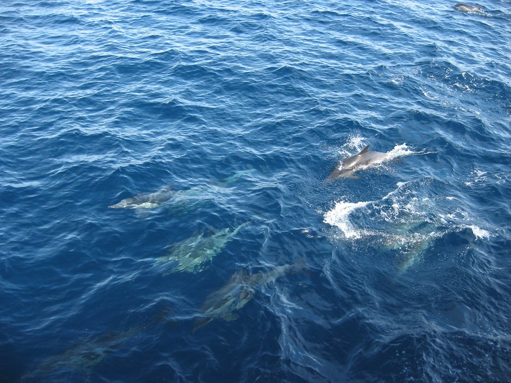 Conclusion (image credits: flickr)