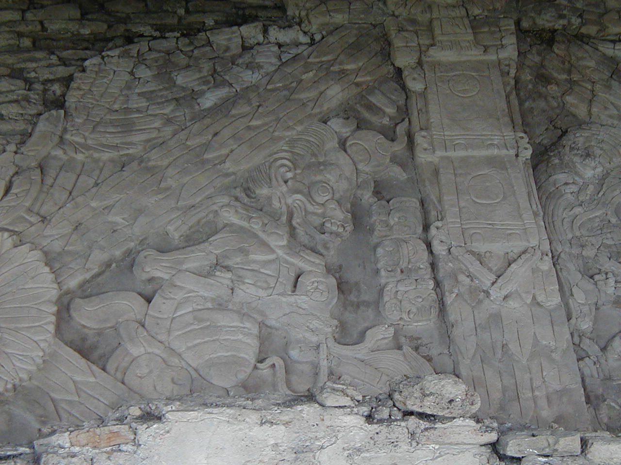 Physical Evidence From the Bones (image credits: wikimedia)