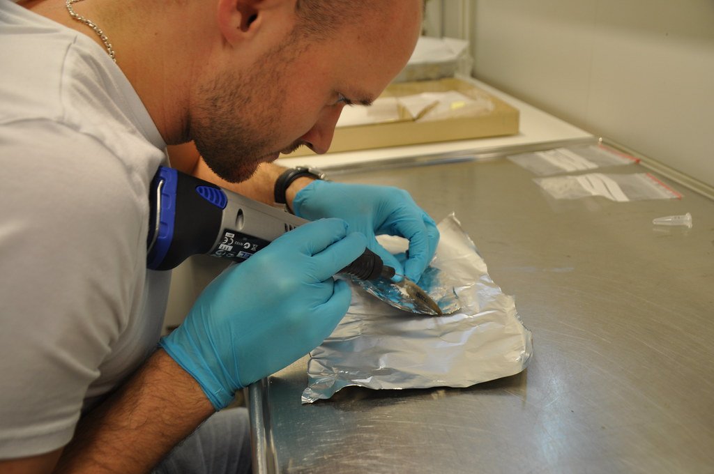 DNA Analysis and Modern Technology (image credits: flickr)