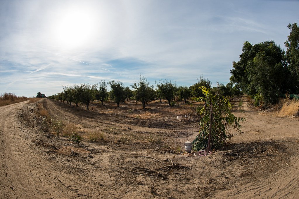 Soil Architects Building From the Ground Up (image credits: flickr)