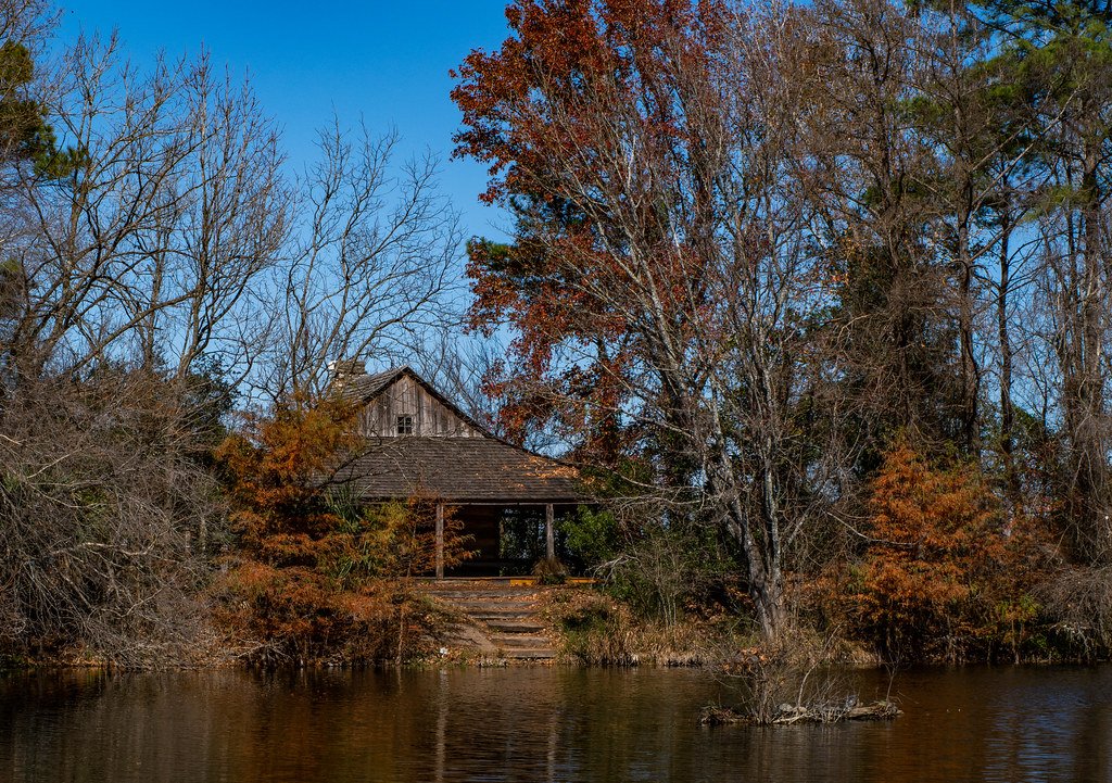 Structural Engineers of the Living World (image credits: flickr)