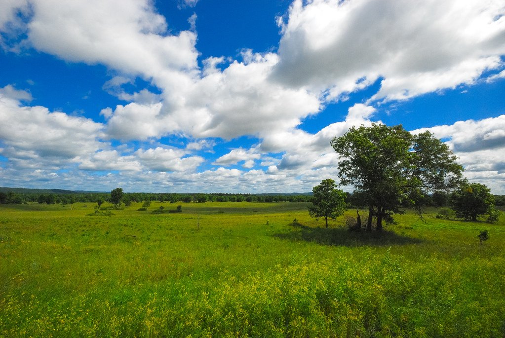 Defense Systems That Adapt and Evolve (image credits: flickr)