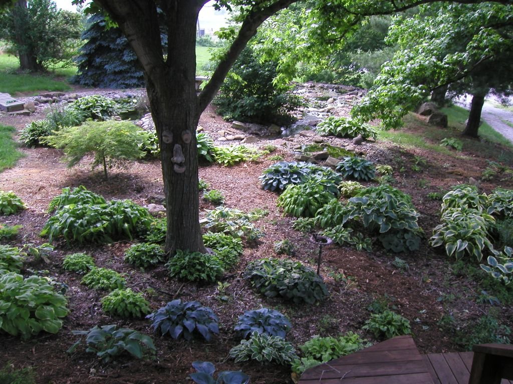 Adaptation Engineers Responding to Environmental Change (image credits: flickr)