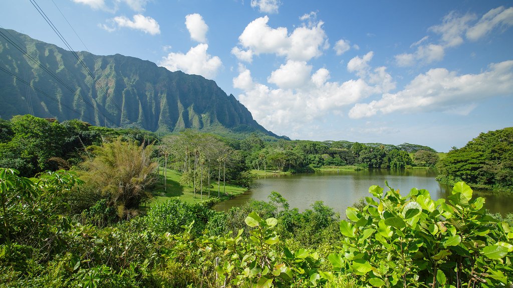 The Ongoing Construction Project (image credits: flickr)