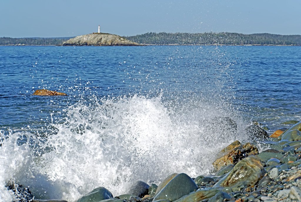 Ocean Currents: The Planet's Circulation System (image credits: flickr)