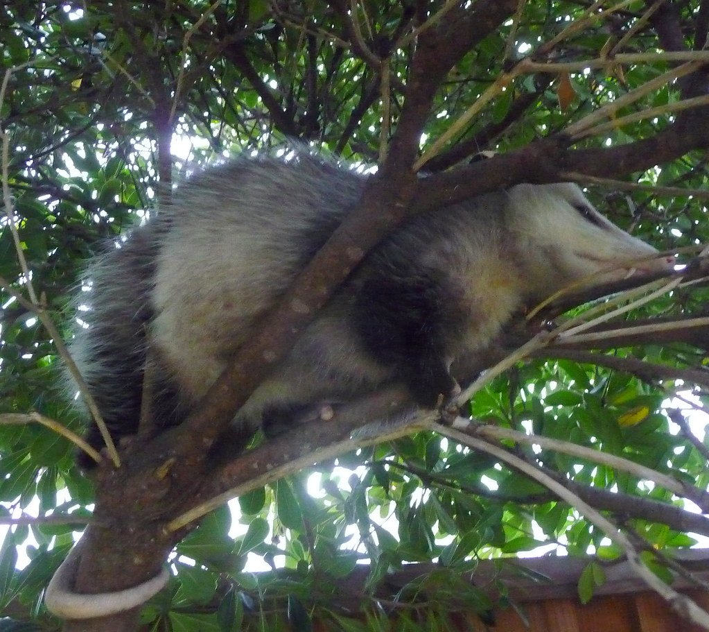 The Bigger Picture (image credits: flickr)