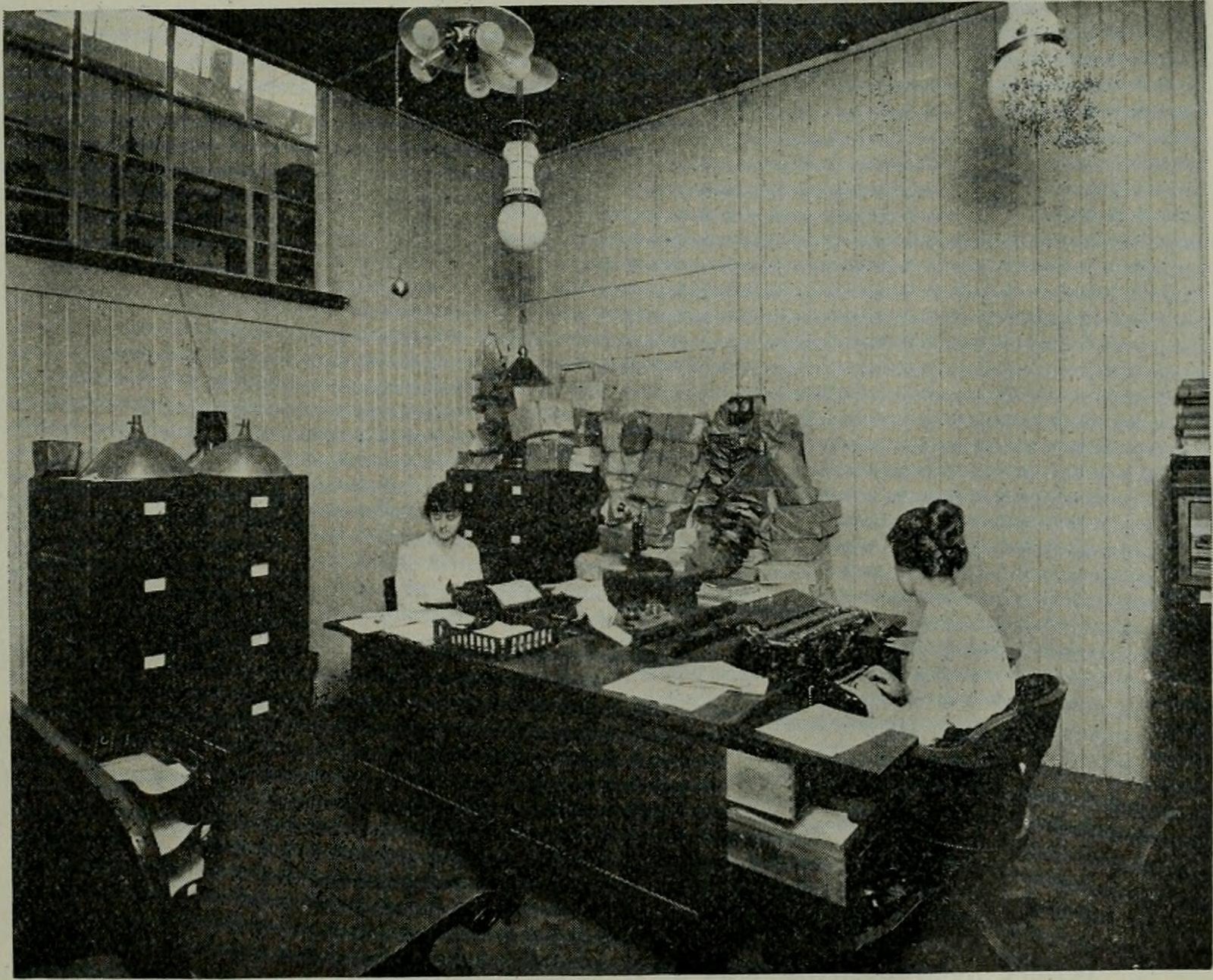 The Mysterious Discovery in Quedlinburg Cave (image credits: By Internet Archive Book Images, No restrictions, https://commons.wikimedia.org/w/index.php?curid=43320788)