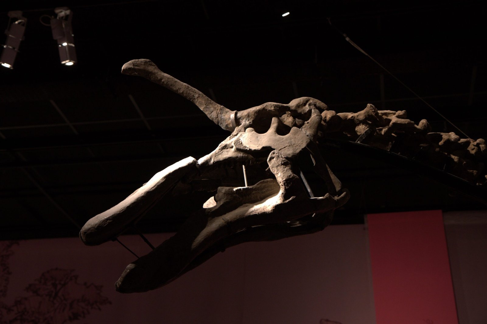 How the Hoax Was Constructed (image credits: wikimedia)