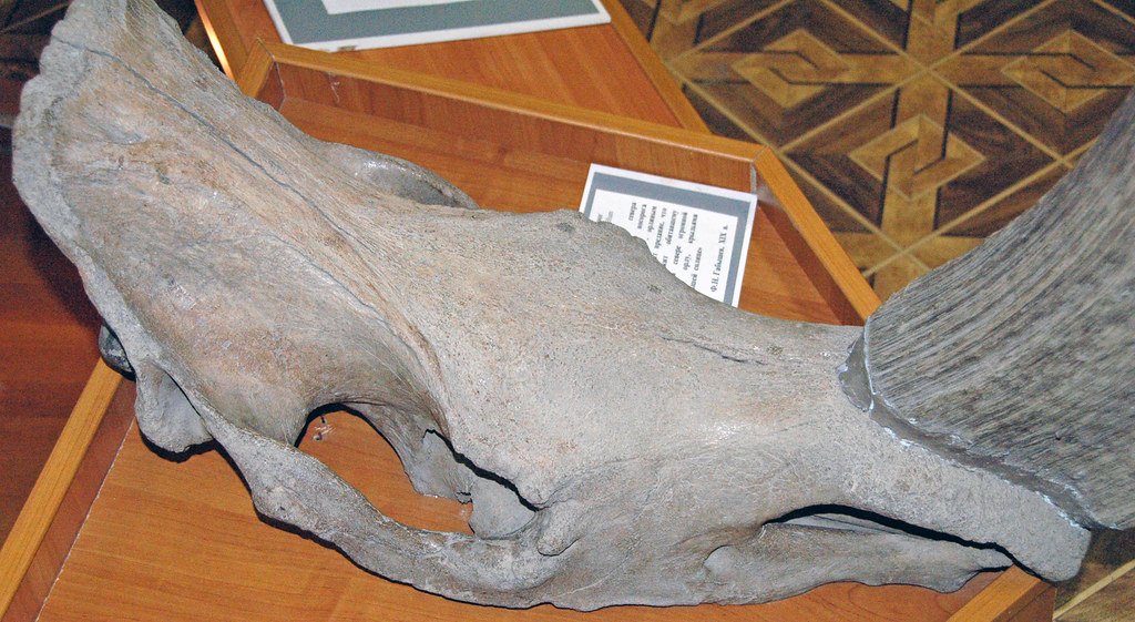 When the Truth Finally Emerged (image credits: flickr)