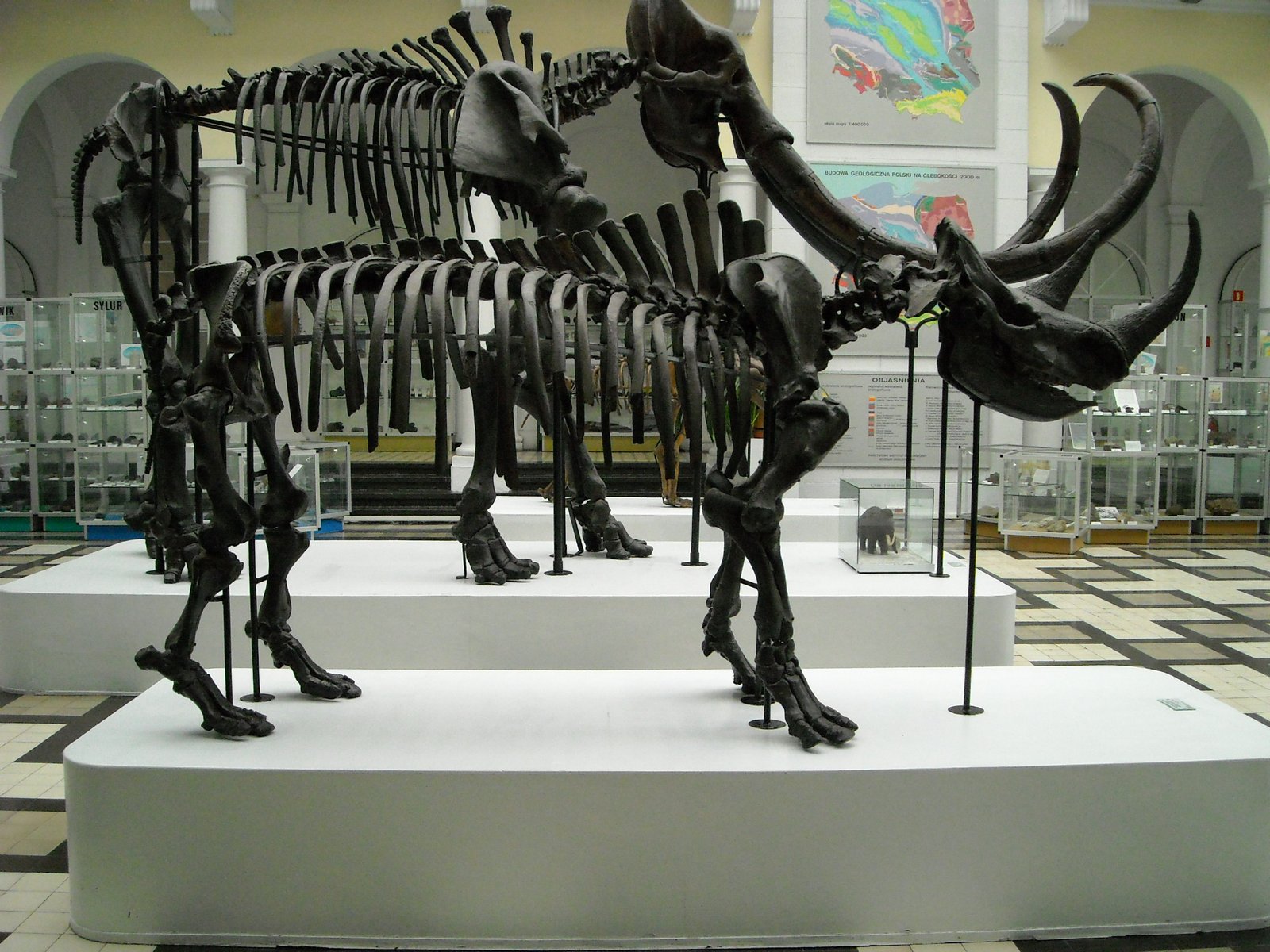 Conclusion: When Myth Meets Reality (image credits: wikimedia)