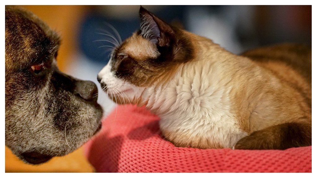 The Social Healing Connection (image credits: flickr)
