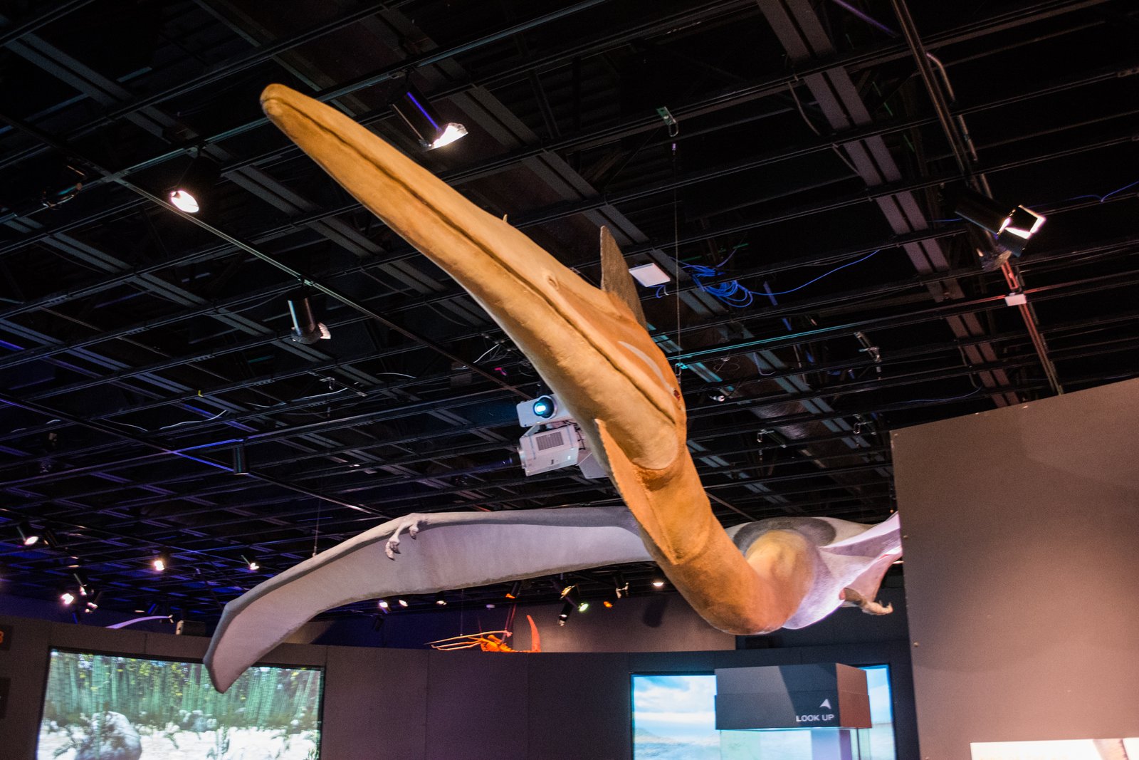Native American Thunderbirds and Fossil Evidence (image credits: Quetzalcoatlus northropi model - Pterosaurs Flight in the Age of Dinosaurs, CC BY-SA 2.0, https://commons.wikimedia.org/w/index.php?curid=75644361)