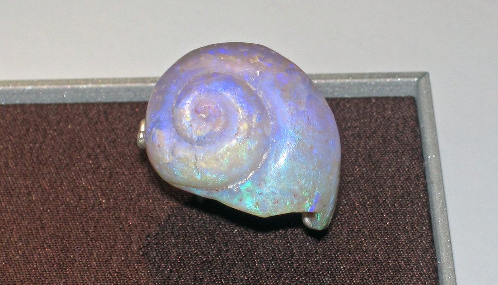 The Science Behind Fossil Preservation (image credits: flickr)