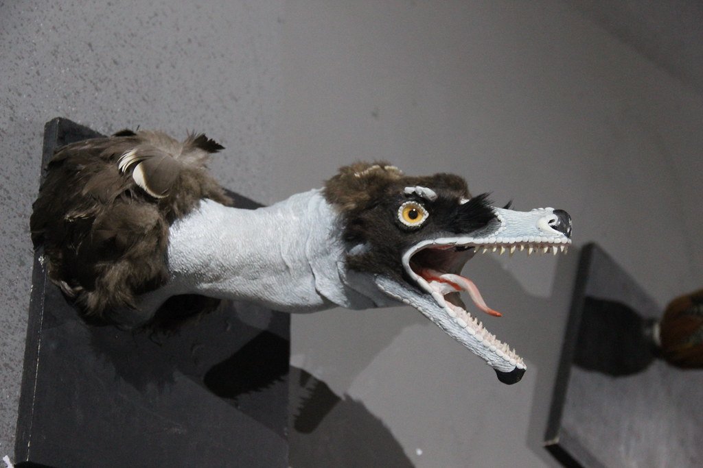 Modern Discoveries Validating Ancient Myths (image credits: flickr)