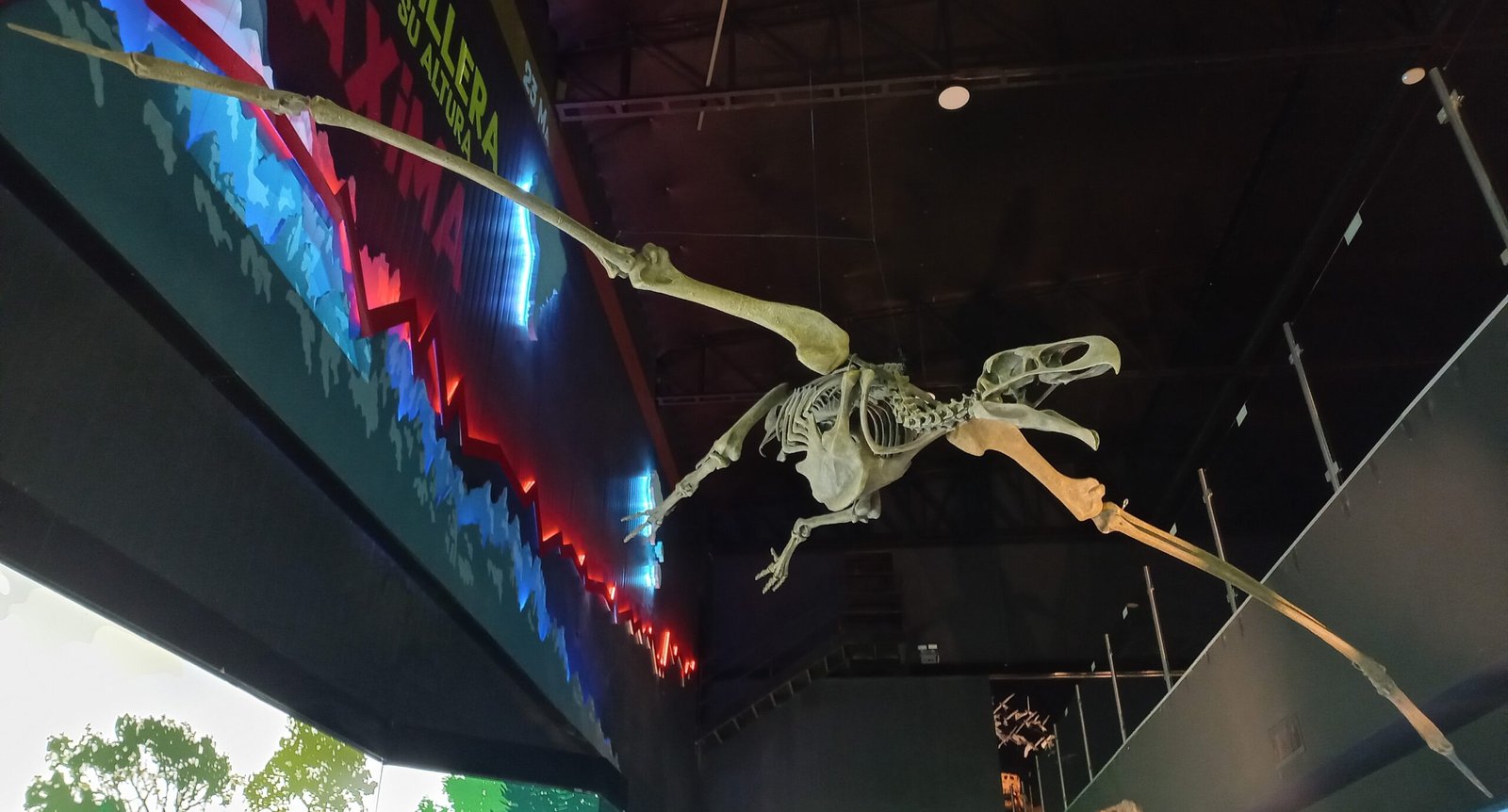 Argentavis: The Thunderbird of South America (image credits: By Rique, CC0, https://commons.wikimedia.org/w/index.php?curid=160253451)